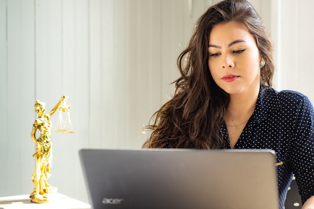 Understanding the Guardian ad Litem